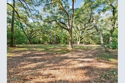 Lot 9 East Shallows Drive, Santa Rosa Beach, FL 32459 - Photo 4