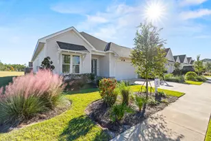 23 Green Heron St, Watersound, FL 32461 - Photo 1