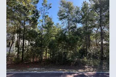 Tbd Riker Avenue, Santa Rosa Beach, FL 32459 - Photo 1