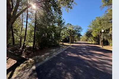 Tbd Riker Avenue, Santa Rosa Beach, FL 32459 - Photo 2