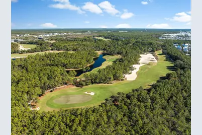 11 Sundew Place, Inlet Beach, FL 32461 - Photo 48