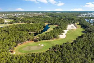 11 Sundew Pl, Inlet Beach, FL 32461 - Photo 48