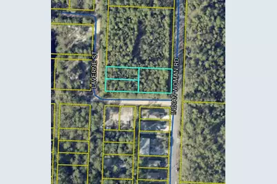 00 Indian Woman Road, Santa Rosa Beach, FL 32459 - Photo 1