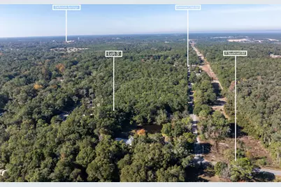 Lot 3 N Norwood Road, Defuniak Springs, FL 32433 - Photo 8