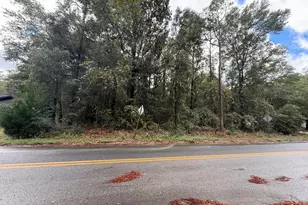 Lot 4 German Club Rd, Defuniak Springs, FL 32433 - Photo 8