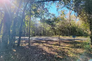 1907 River Rd, Ponce de Leon, FL 32455 - Photo 8