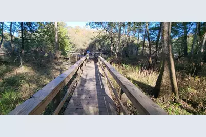 1907 River Road, Ponce de Leon, FL 32455 - Photo 54