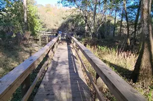 1907 River Rd, Ponce de Leon, FL 32455 - Photo 54