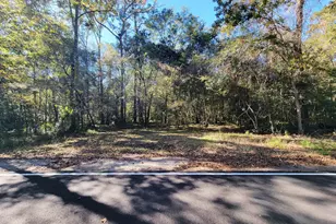 1907 River Rd, Ponce de Leon, FL 32455 - Photo 16