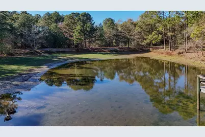 1981 Parrish Rd Road, Florala, AL 36442 - Photo 54