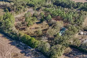 1981 Parrish Rd Rd, Florala, AL 36442 - Photo 42