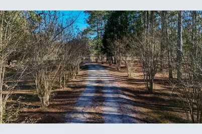 1981 Parrish Rd Road, Florala, AL 36442 - Photo 48