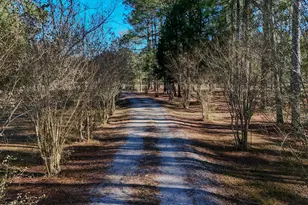 1981 Parrish Rd Rd, Florala, AL 36442 - Photo 48