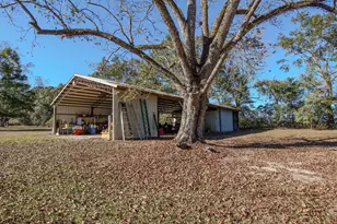 1981 Parrish Rd Rd, Florala, AL 36442 - Photo 36