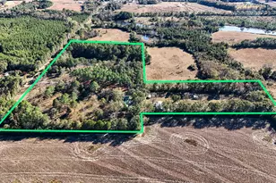 1981 Parrish Rd Rd, Florala, AL 36442 - Photo 58