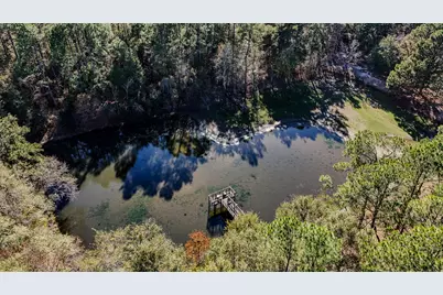 1981 Parrish Rd Road, Florala, AL 36442 - Photo 52