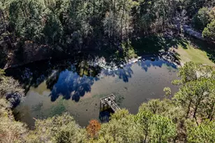 1981 Parrish Rd Rd, Florala, AL 36442 - Photo 52