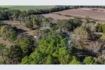 1981 Parrish Rd Road, Florala, AL 36442 - Photo 40