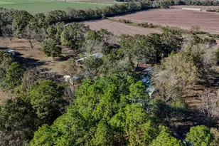 1981 Parrish Rd Rd, Florala, AL 36442 - Photo 40