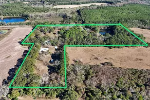 1981 Parrish Rd Rd, Florala, AL 36442 - Photo 2