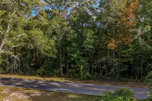 1 25 Ac Pleasant Ridge Rd, Defuniak Springs, FL 32435 - Photo 1