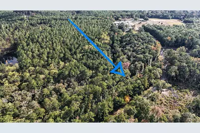 1.25 Ac Pleasant Ridge Road, Defuniak Springs, FL 32435 - Photo 8