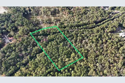1.25 Ac Pleasant Ridge Road, Defuniak Springs, FL 32435 - Photo 6