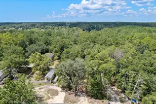 161 Caswell Branch Rd, Freeport, FL 32439 - Photo 14