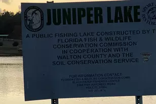 18 Tall Pines Blvd, Defuniak Springs, FL 32433 - Photo 34