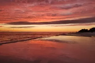 221 Scenic Gulf Dr, Miramar Beach, FL 32550 - Photo 68