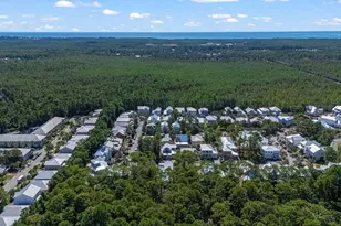 286 Marlberry Trce, Santa Rosa Beach, FL 32459 - Photo 100