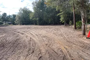 107 Marie Dr, Santa Rosa Beach, FL 32459 - Photo 1