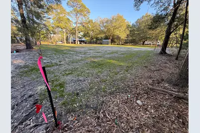 107 Marie Drive, Santa Rosa Beach, FL 32459 - Photo 4