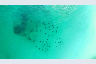 842 E Grand Harbour E, Miramar Beach, FL 32550 - Photo 8