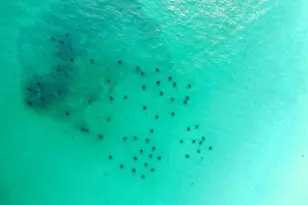 842 E Grand Harbour E, Miramar Beach, FL 32550 - Photo 8