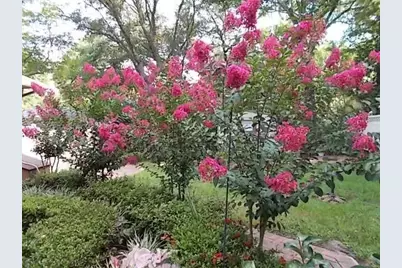 137 Woodbine Circle, Fort Walton Beach, FL 32548 - Photo 46