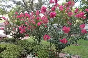 137 Woodbine Cir, Fort Walton Beach, FL 32548 - Photo 46