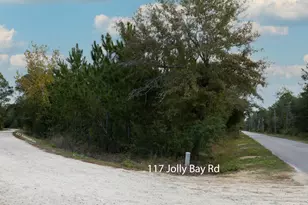 117 Jolly Bay and 221 Johnson Rd, Freeport, FL 32439 - Photo 4