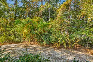 115 Central 6th St, Santa Rosa Beach, FL 32459 - Photo 56