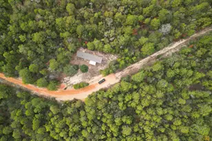 169 White Rd, Defuniak Springs, FL 32433 - Photo 20