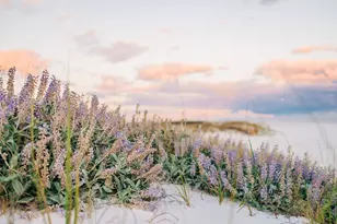 Lot 9 W Lupin Beach Dr W, Inlet Beach, FL 32461 - Photo 8