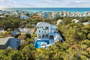 306 Walton Rose Ln, Inlet Beach, FL 32461 - Photo 98