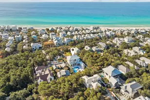 306 Walton Rose Ln, Inlet Beach, FL 32461 - Photo 92