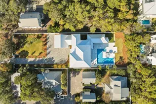 306 Walton Rose Ln, Inlet Beach, FL 32461 - Photo 2