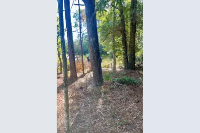 X Blue Ridge Blvd, Defuniak Springs, FL 32433 - Photo 2