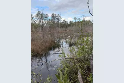 X Blue Ridge Blvd, Defuniak Springs, FL 32433 - Photo 6