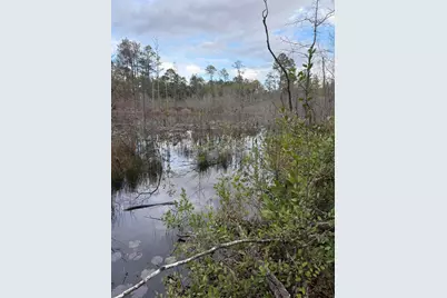 X Blue Ridge Blvd, Defuniak Springs, FL 32433 - Photo 4