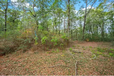 276 Squirrel Road, Defuniak Springs, FL 32433 - Photo 36