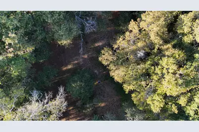 276 Squirrel Road, Defuniak Springs, FL 32433 - Photo 2