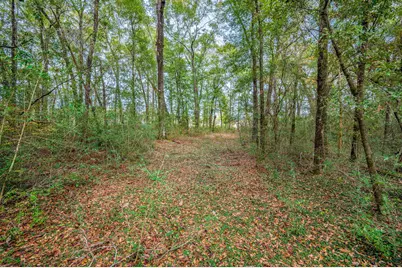 276 Squirrel Road, Defuniak Springs, FL 32433 - Photo 34